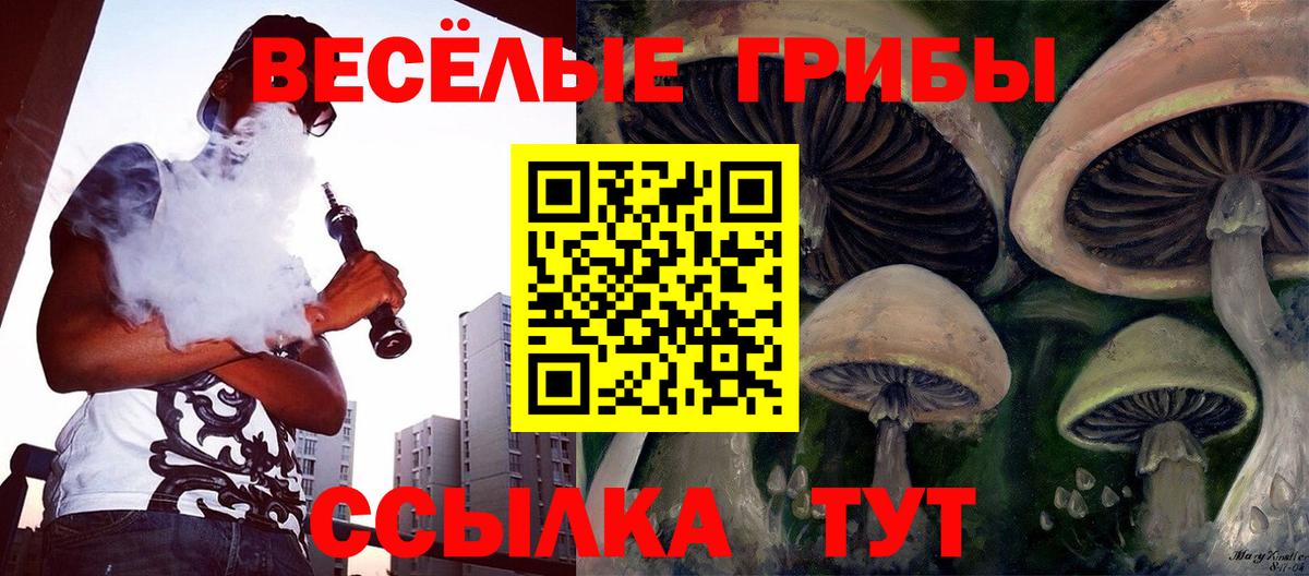 Галлюциногенные грибы ЛСД Нижний Новгород